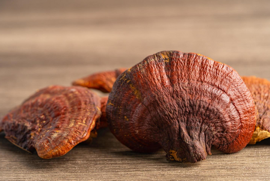 The Correlation Between Proper Sleep and Physical Performance: How Reishi Can Contribute to Better Sleep