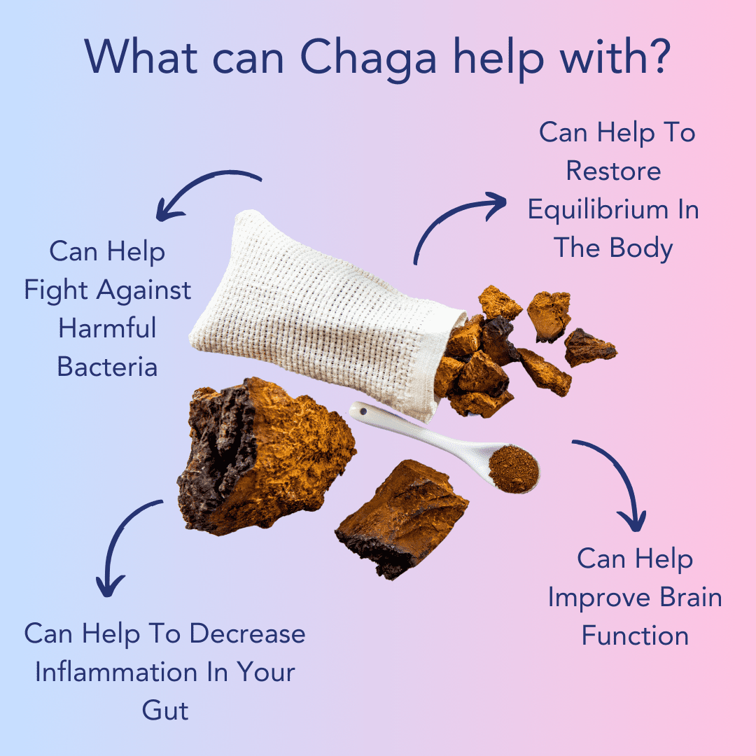 Chaga benefits with arrows