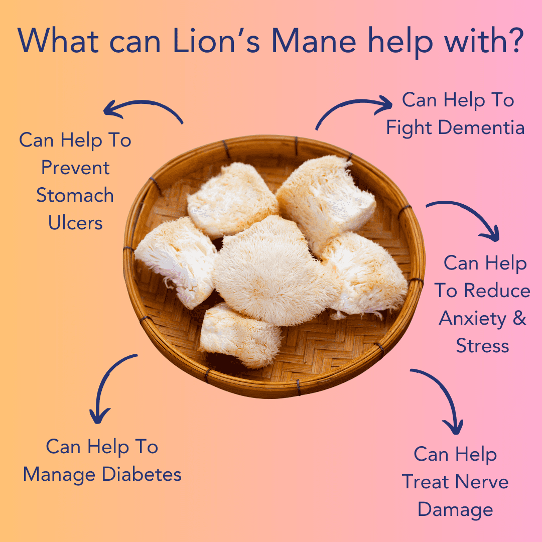 Lion's Mane benefits with arrows