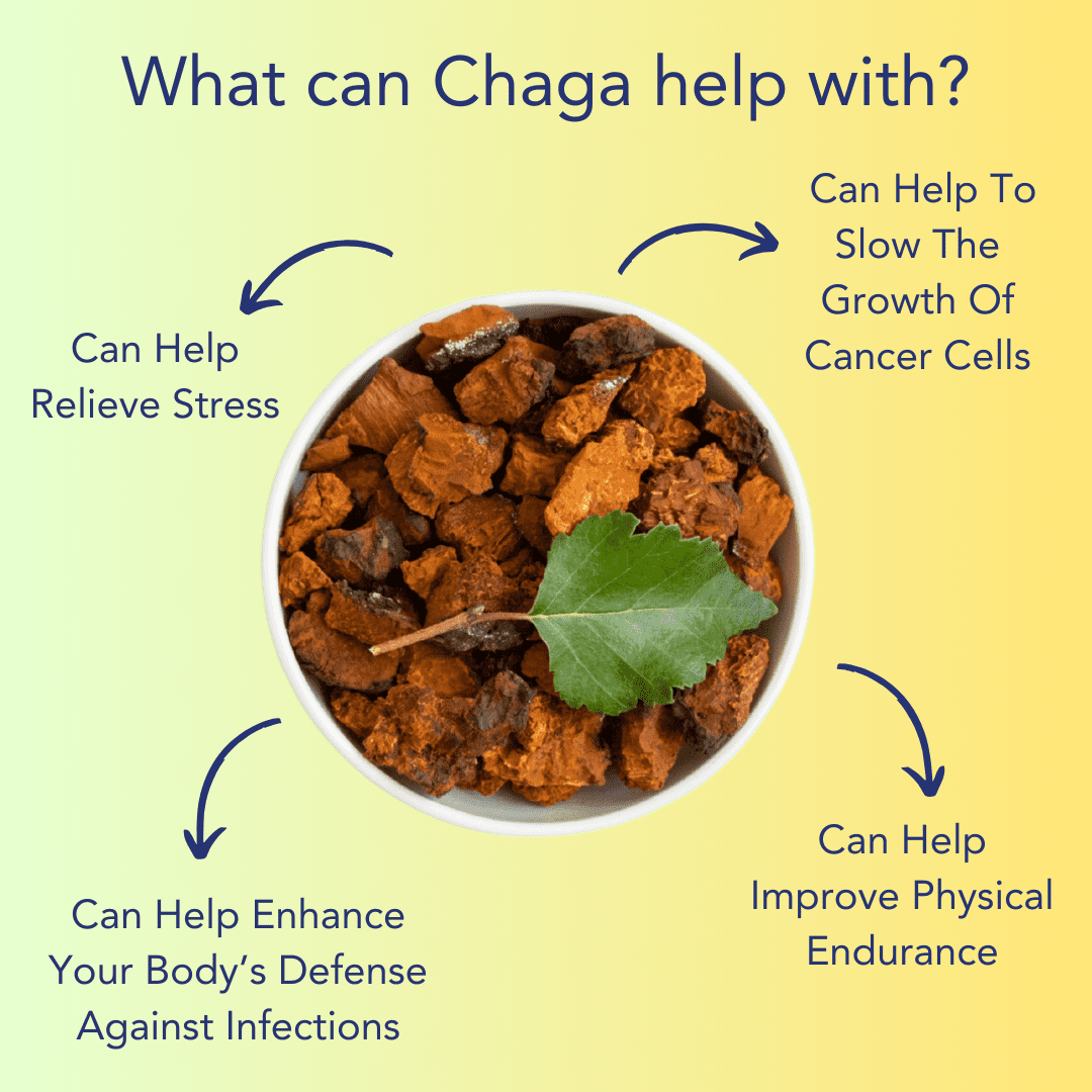 Chaga benefits with arrows