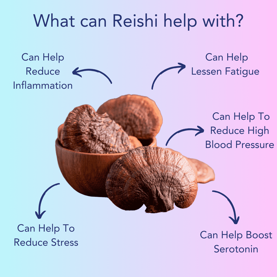 Reishi Mushroom & L-Theanine for Sleep & Relax
