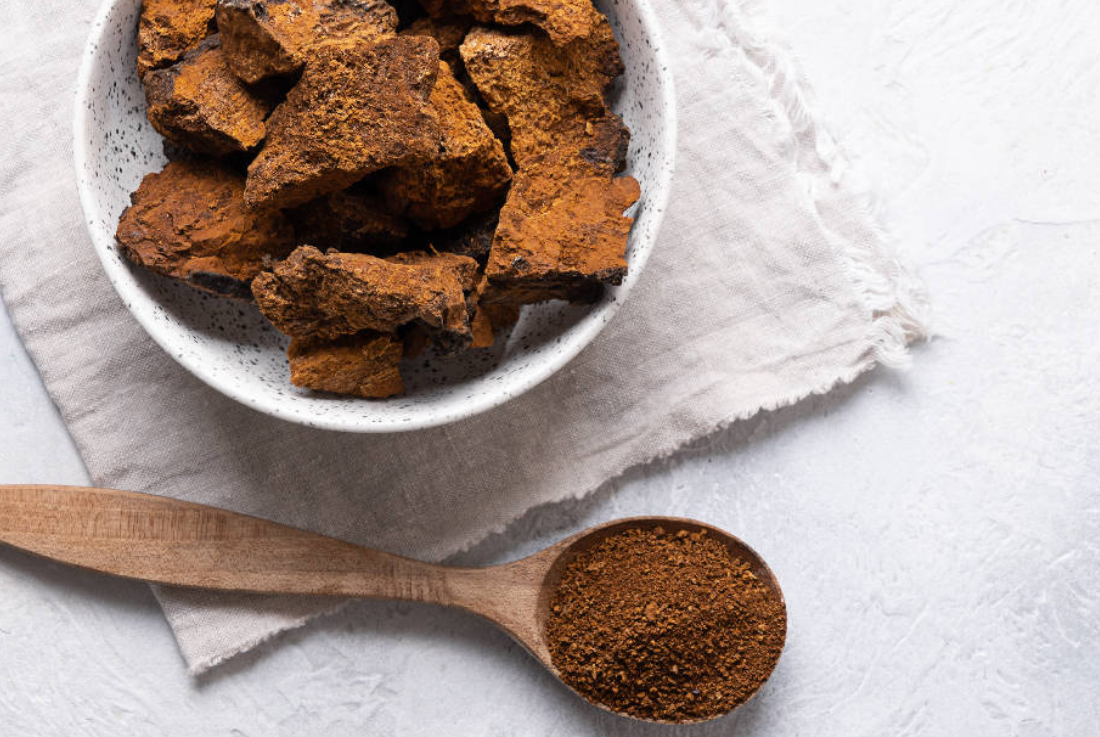 Which Functional Mushroom Helps Support The Fight Against Cancer?