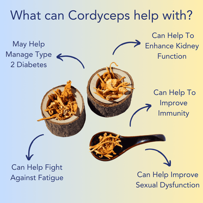 Cordyceps benefits with arrows